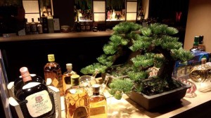 scene_img002